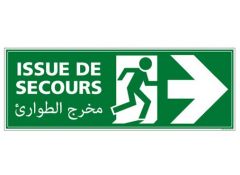 Panneau ISSUE DE SECOURS (B0272D)