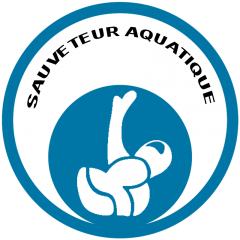 Formation Sauveteur Aquatique